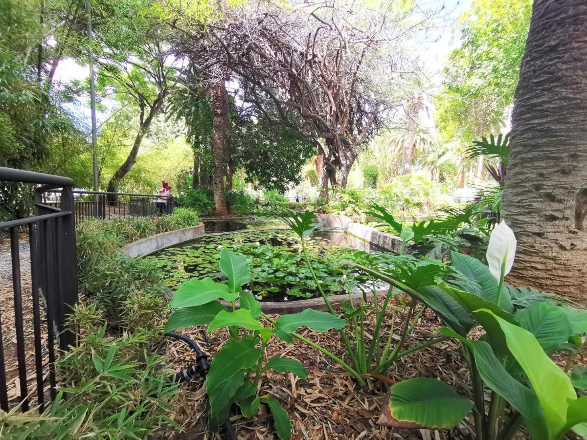 Home2Book El Encanto De La Plaza Del Principe Санта-Крус-де-Тенерифе Экстерьер фото